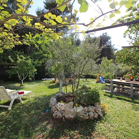 Modern Apartment Sabina With Nice Garden Poreč Eksteriør billede