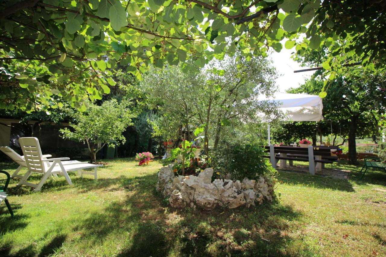Modern Apartment Sabina With Nice Garden Poreč Eksteriør billede